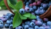 Статья. Омолаживающие продукты питания, что надо есть чтобы помолодеть