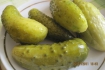 Рецепт. Квашеные огурцы (хрустящие)