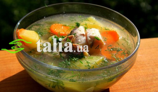 Рецепт. Уха из толстолобика классическая Рецепт. Уха из толстолобика классическая