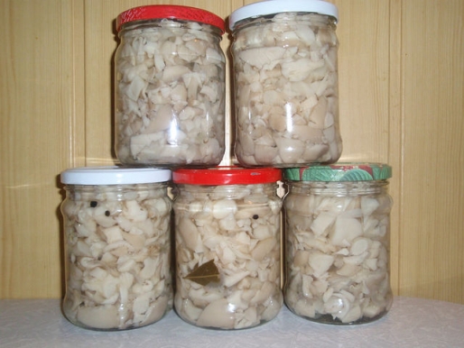 Рецепт. Маринованные вешенки с луком