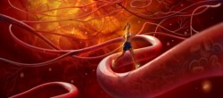 Статья. Как укрепить слабые сосуды, ломкость капилляров, поврежденные капилляры Статья. Как укрепить слабые сосуды, ломкость капилляров, поврежденные капилляры