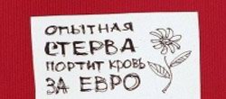 Статья. Как стать стервой, хочу быть стервой, стерва, стервология, стервозность Статья. Как стать стервой, хочу быть стервой, стерва, стервология, стервозность