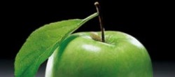 Статья. Как избавиться от повышенного аппетита, какие продукты разжигают аппетит Статья. Как избавиться от повышенного аппетита, какие продукты разжигают аппетит