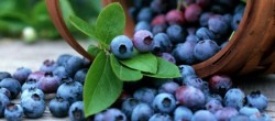 Статья. Омолаживающие продукты питания, что надо есть чтобы помолодеть