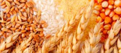 Статья. Как очистить кишечник, злаковая диета для похудения меню